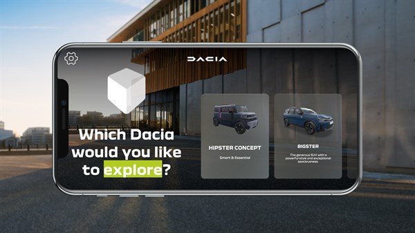 Dacia boot organizer