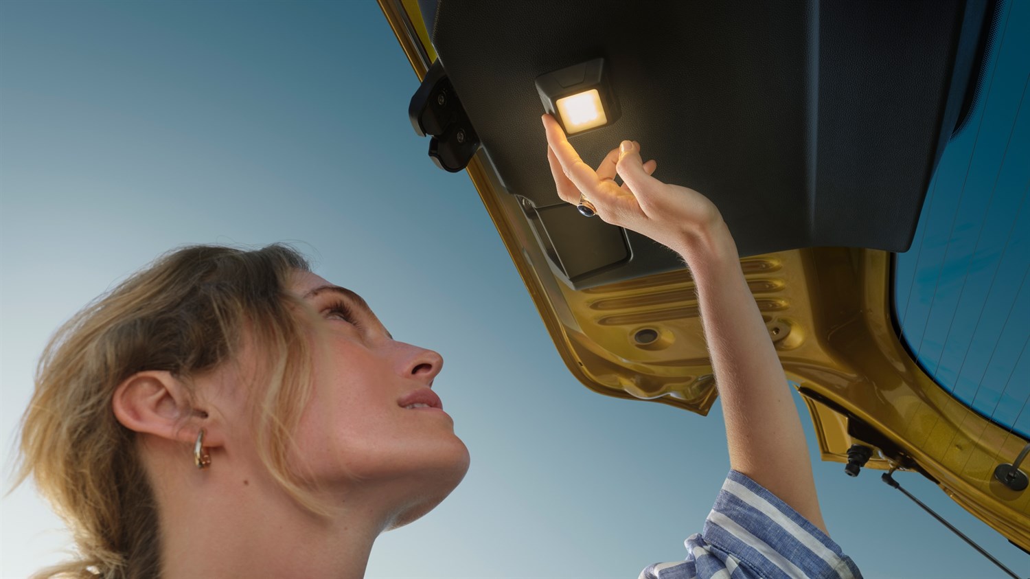 Dacia Sandero Stepway - accessories